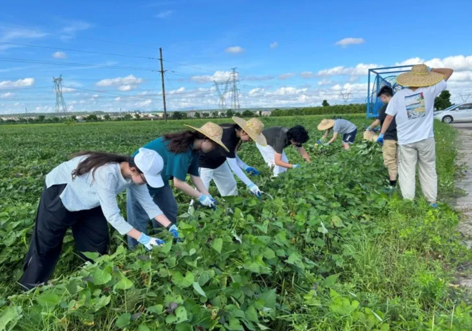 image-20240621181117-1